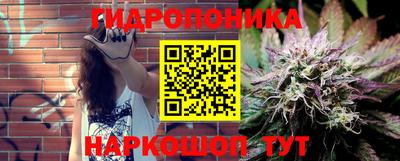 СК Заводоуковск