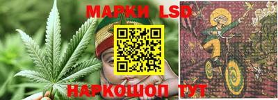 шишки Заволжье