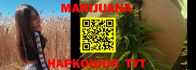 шишки Заволжье