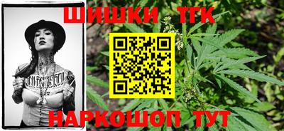шишки Заволжье
