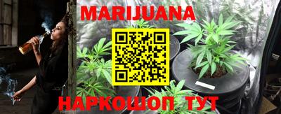 шишки Заволжье