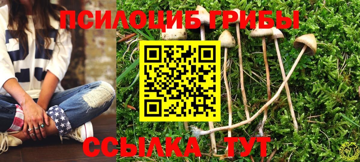 Псилоцибиновые грибы MAGIC MUSHROOMS Кунгур