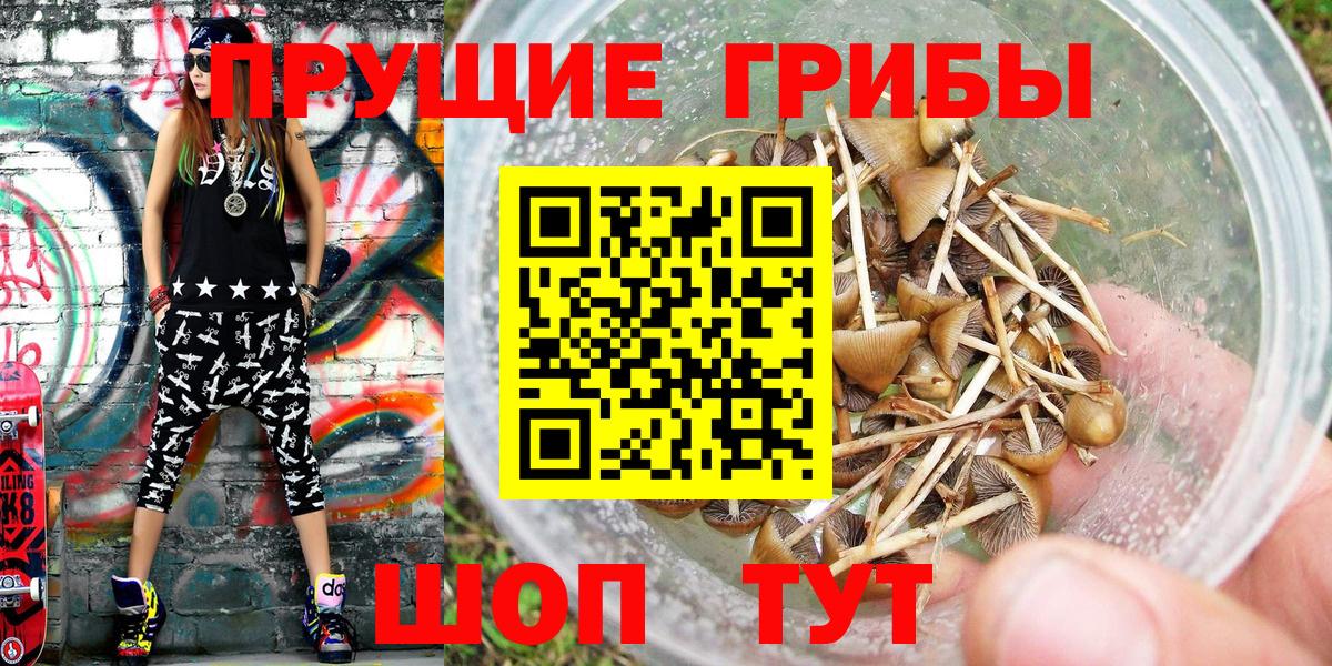 ГЕРОИН Кунгур
